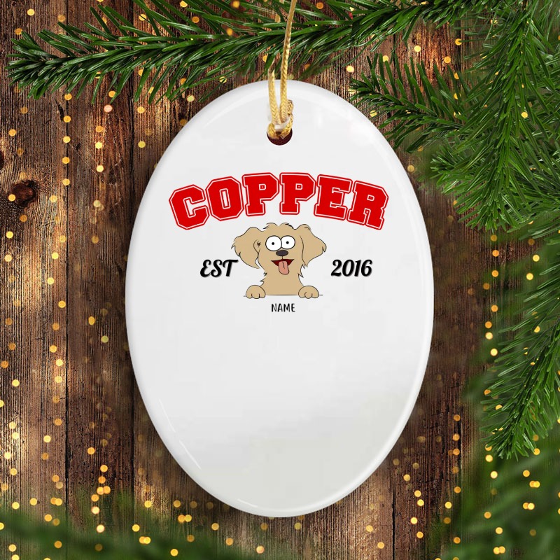 Funny Dog Face personalized oval ornament perfect gift idea funny custom gift - NH - 5702372
